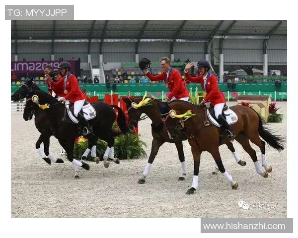 探索体育社群互动的多样性与未来发展趋势的深度分析与讨论